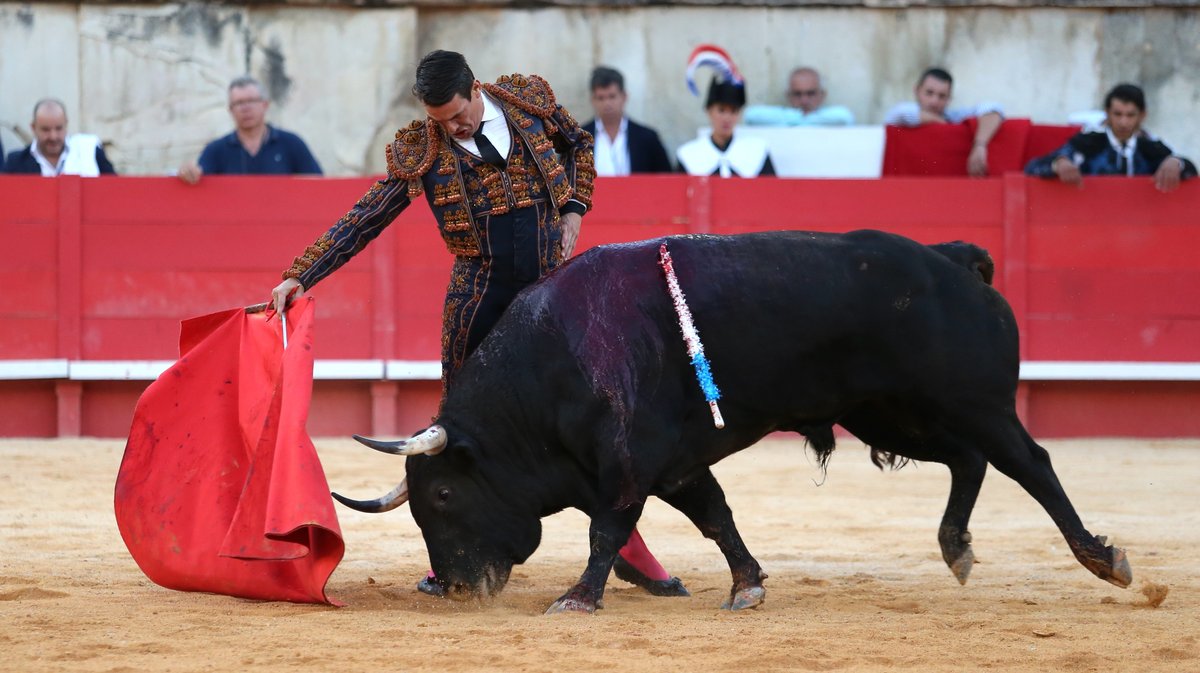 Corrida de Garcia Jimenez pour Sébastien Castella, José Maria Manzanares fils et Tomas Rufo (Photo Anthony Maurin)