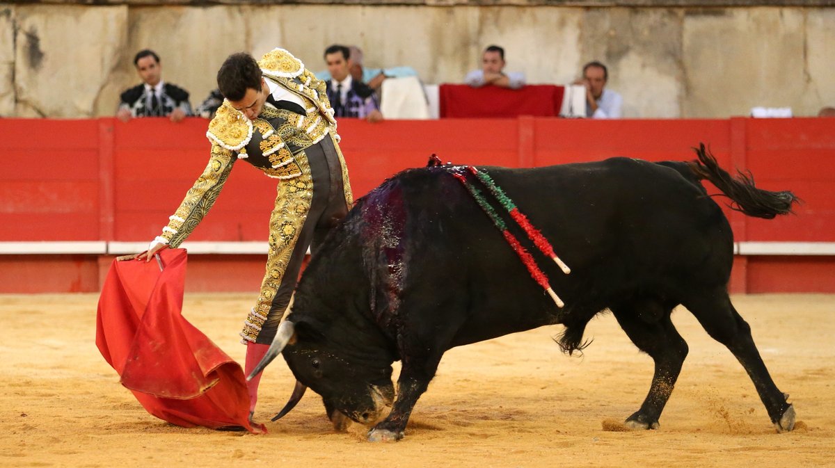Corrida de Garcia Jimenez pour Sébastien Castella, José Maria Manzanares fils et Tomas Rufo (Photo Anthony Maurin)