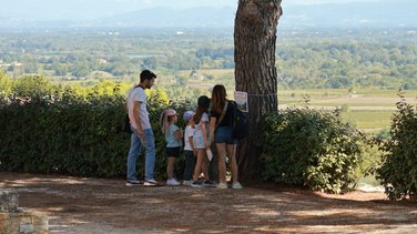 jardin planchon