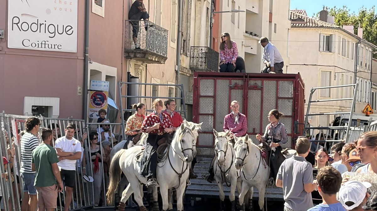 Feria des vendanges 2026