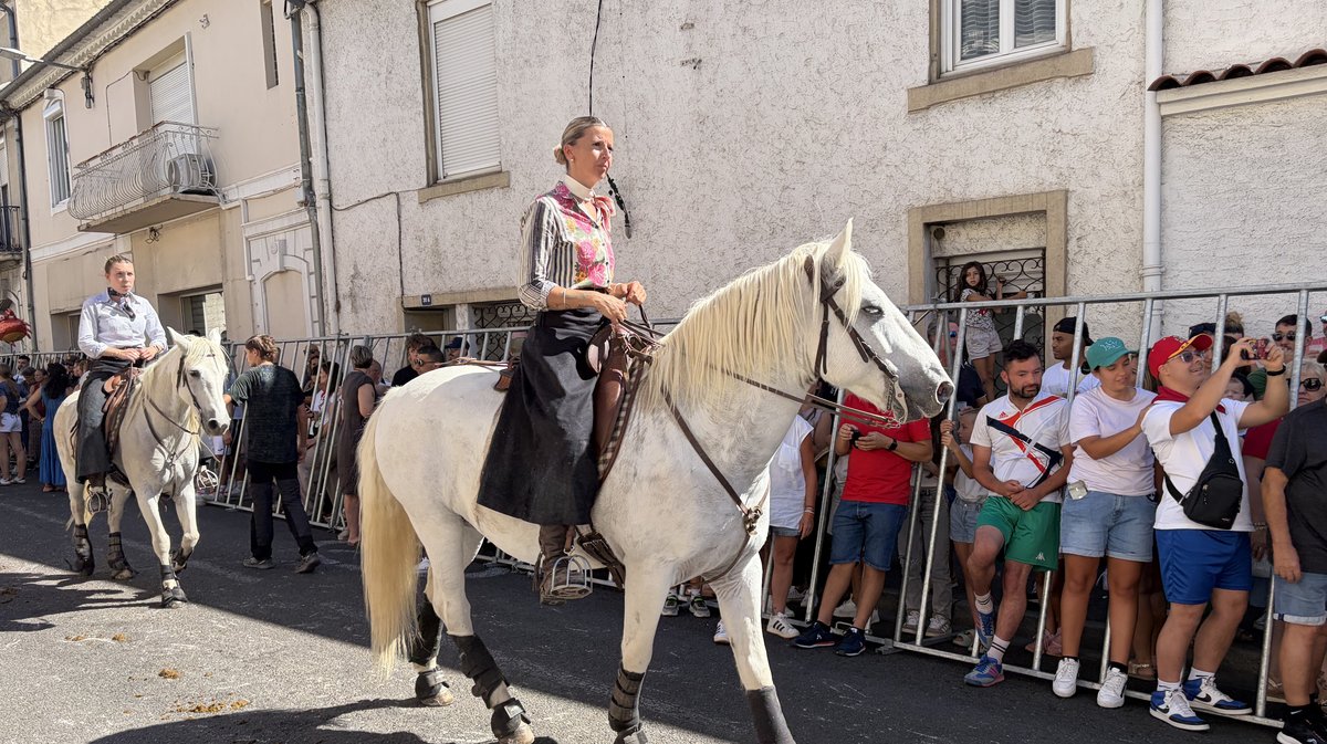 Feria des vendanges 2026