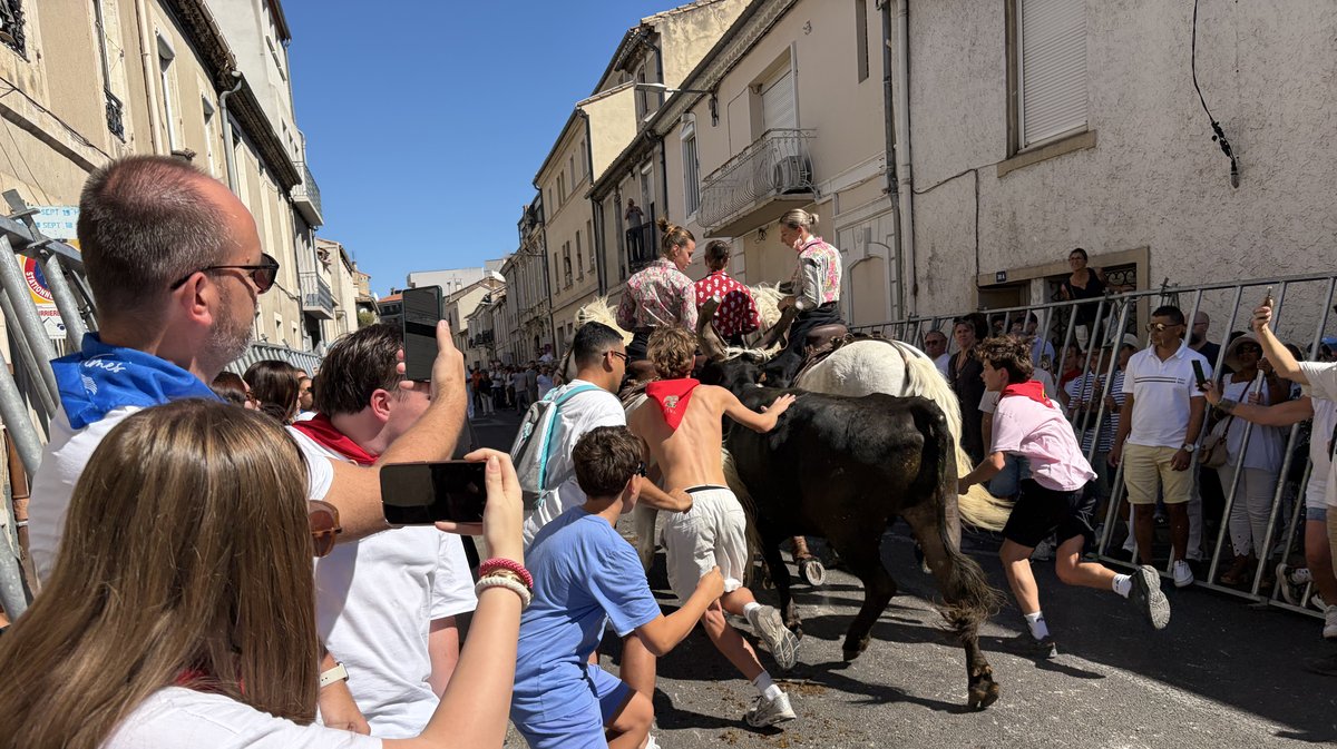 Feria des vendanges 2026