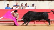 Solo de Marco Pérez avec des toros d'El Freixo, Santiago Domecq, Juan Pedro Domecq, Pagès-Mailhan, El Pilar et Jandilla (Photo Anthony Maurin)