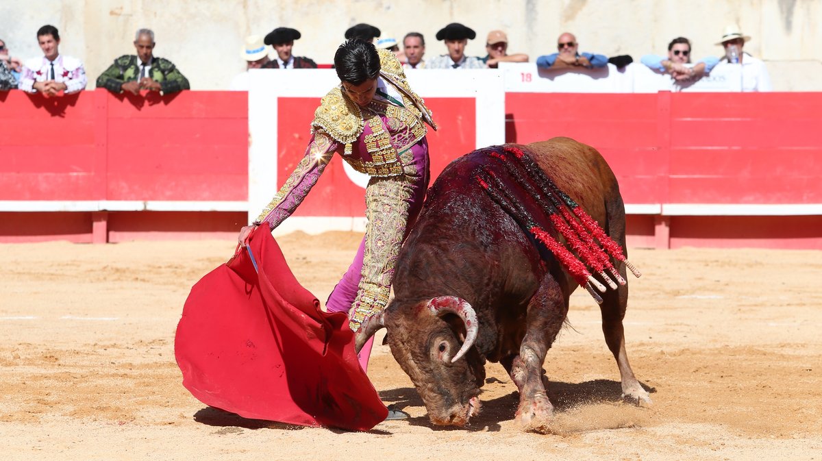 Solo de Marco Pérez avec des toros d'El Freixo, Santiago Domecq, Juan Pedro Domecq, Pagès-Mailhan, El Pilar et Jandilla (Photo Anthony Maurin)