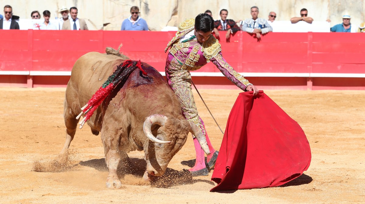 Solo de Marco Pérez avec des toros d'El Freixo, Santiago Domecq, Juan Pedro Domecq, Pagès-Mailhan, El Pilar et Jandilla (Photo Anthony Maurin)