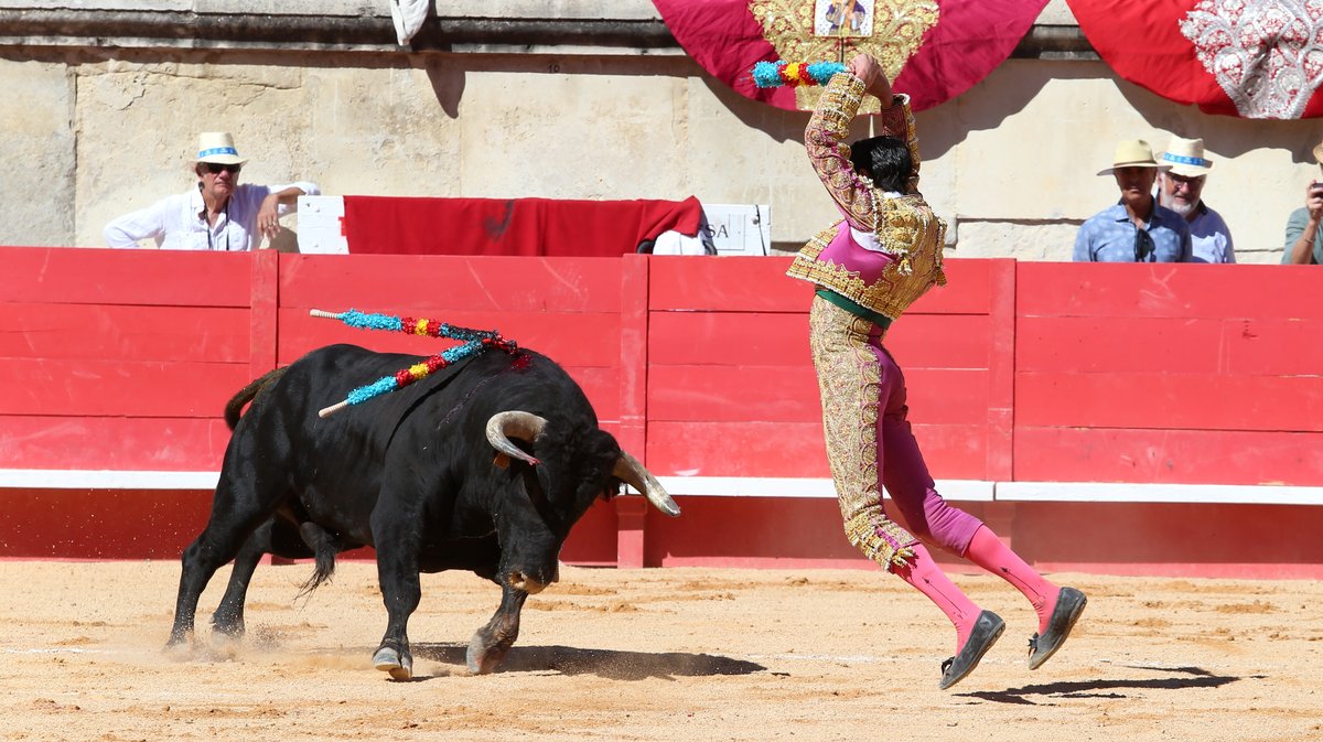 Solo de Marco Pérez avec des toros d'El Freixo, Santiago Domecq, Juan Pedro Domecq, Pagès-Mailhan, El Pilar et Jandilla (Photo Anthony Maurin)