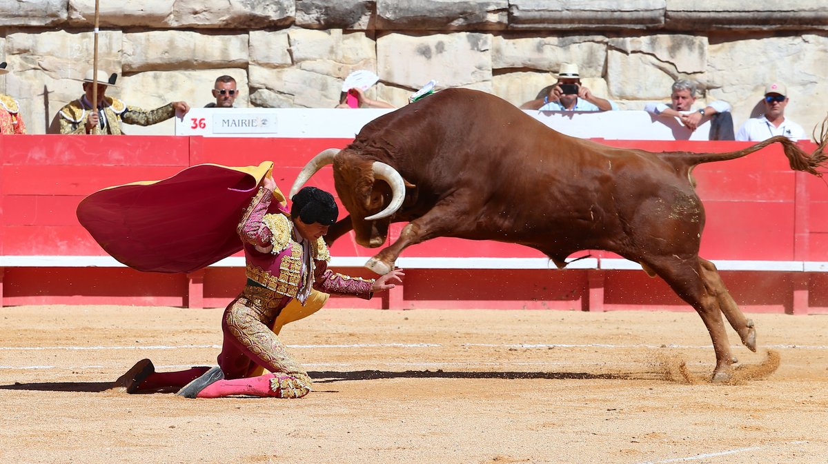 Solo de Marco Pérez avec des toros d'El Freixo, Santiago Domecq, Juan Pedro Domecq, Pagès-Mailhan, El Pilar et Jandilla (Photo Anthony Maurin)