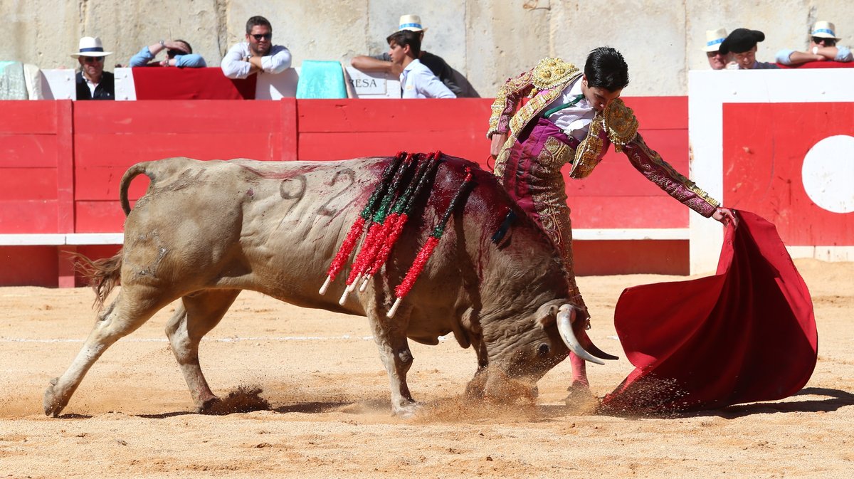 Solo de Marco Pérez avec des toros d'El Freixo, Santiago Domecq, Juan Pedro Domecq, Pagès-Mailhan, El Pilar et Jandilla (Photo Anthony Maurin)