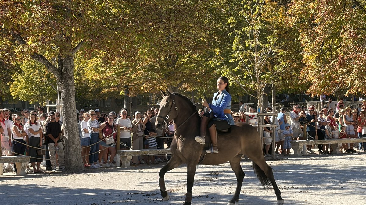 Feria des vendanges 2026