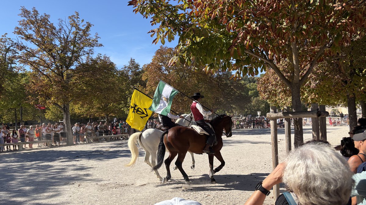 Feria des vendanges 2026