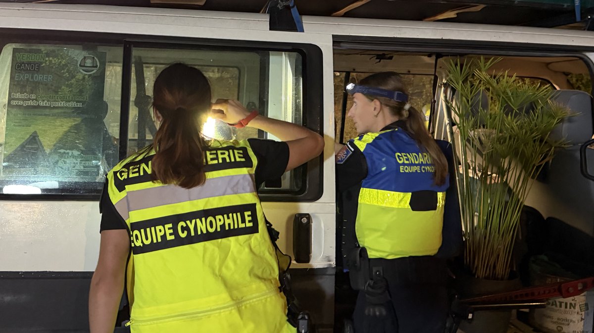 Brigade cynophile