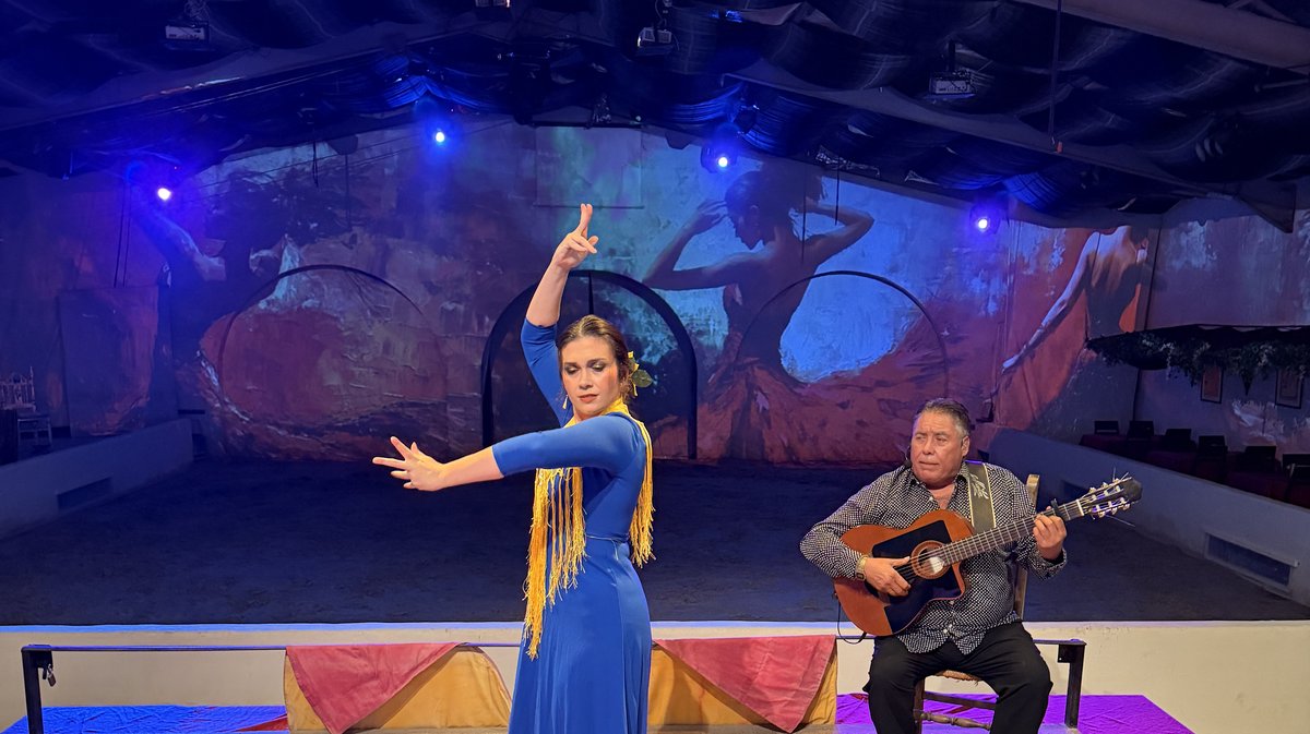 Cabaret équestre de Camargue