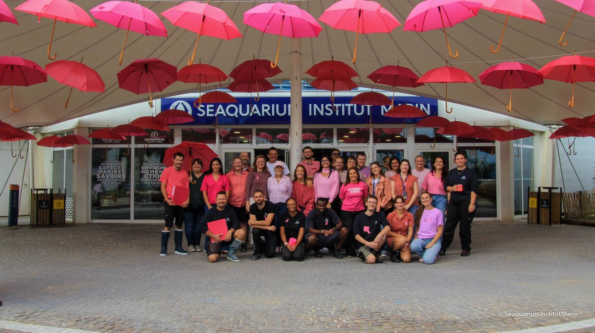 Seaquarium octobre rose