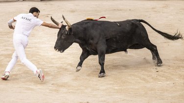 Course camarguaise