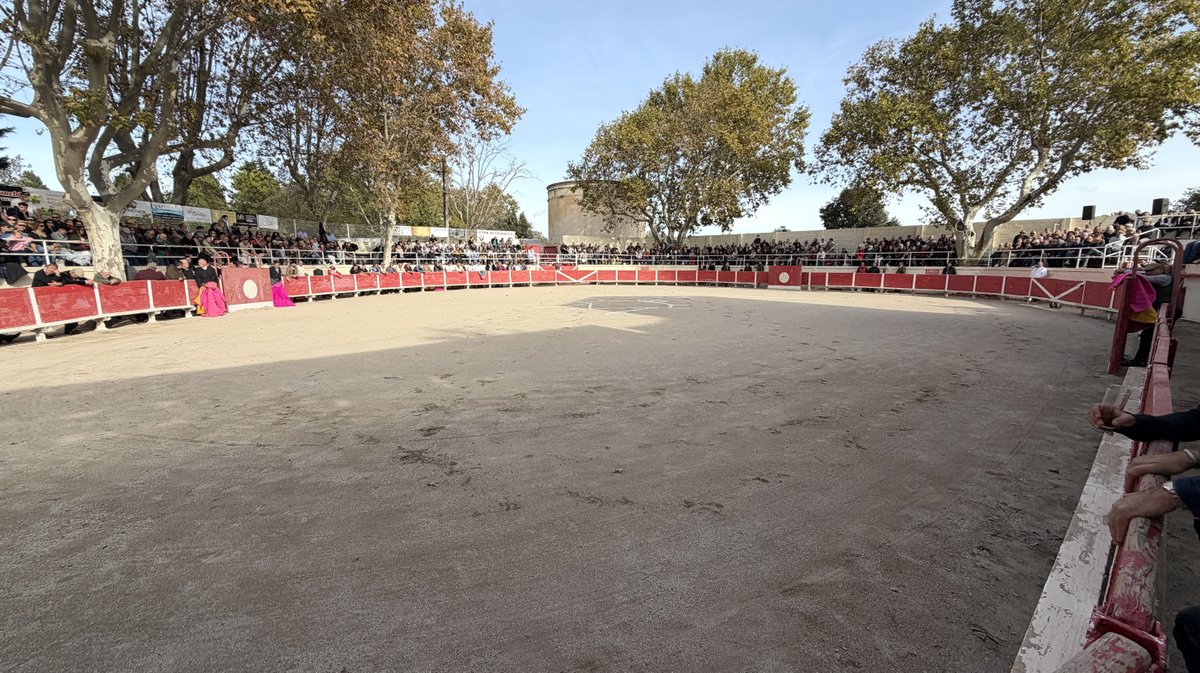 Fourques Festival hommage à Patrick Laugier de Las Dos Hermanas pour Manolo Sanchez, Javier Conde, Curro Diaz, Lalo de Maria, Victor et Joachim Cadenas (Photo Anthony Maurin)