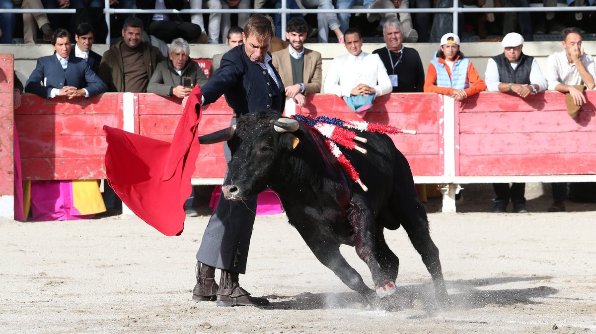 Fourques Festival hommage à Patrick Laugier de Las Dos Hermanas pour Manolo Sanchez, Javier Conde, Curro Diaz, Lalo de Maria, Victor et Joachim Cadenas (Photo Anthony Maurin)