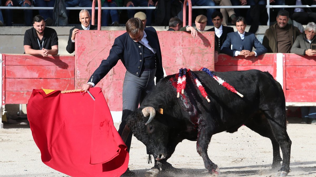 Fourques Festival hommage à Patrick Laugier de Las Dos Hermanas pour Manolo Sanchez, Javier Conde, Curro Diaz, Lalo de Maria, Victor et Joachim Cadenas (Photo Anthony Maurin)