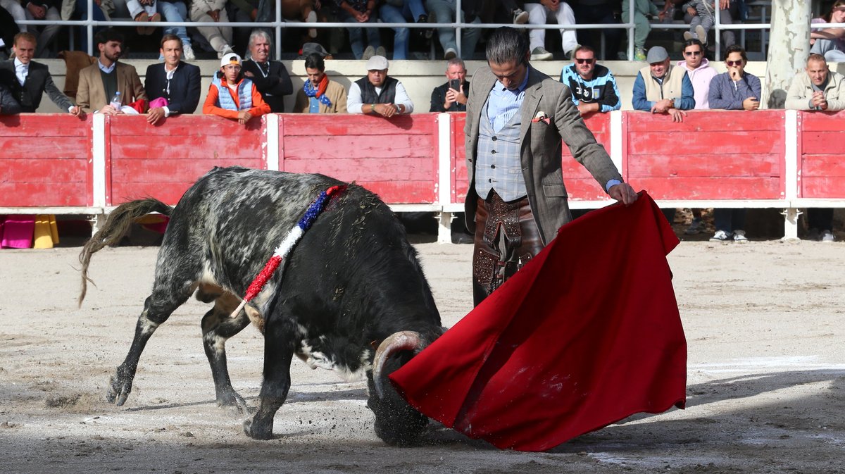 Fourques Festival hommage à Patrick Laugier de Las Dos Hermanas pour Manolo Sanchez, Javier Conde, Curro Diaz, Lalo de Maria, Victor et Joachim Cadenas (Photo Anthony Maurin)