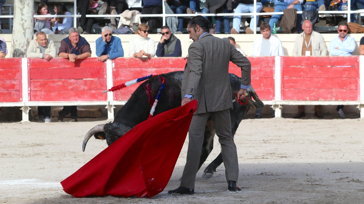 Fourques Festival hommage à Patrick Laugier de Las Dos Hermanas pour Manolo Sanchez, Javier Conde, Curro Diaz, Lalo de Maria, Victor et Joachim Cadenas (Photo Anthony Maurin)