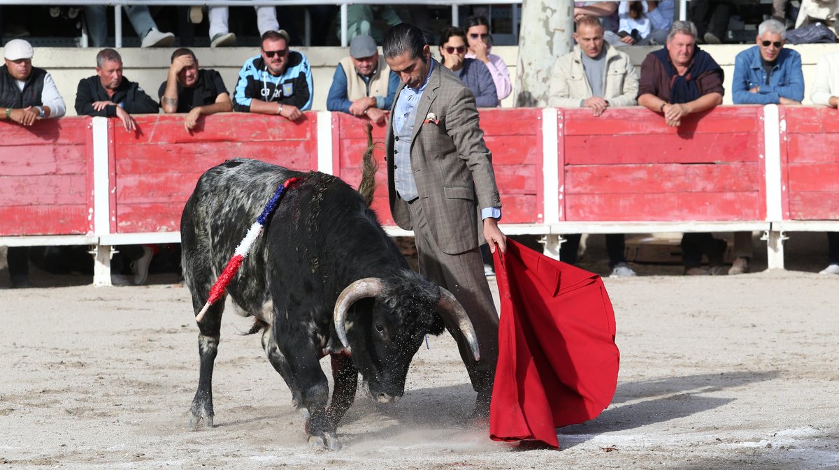 Fourques Festival hommage à Patrick Laugier de Las Dos Hermanas pour Manolo Sanchez, Javier Conde, Curro Diaz, Lalo de Maria, Victor et Joachim Cadenas (Photo Anthony Maurin)