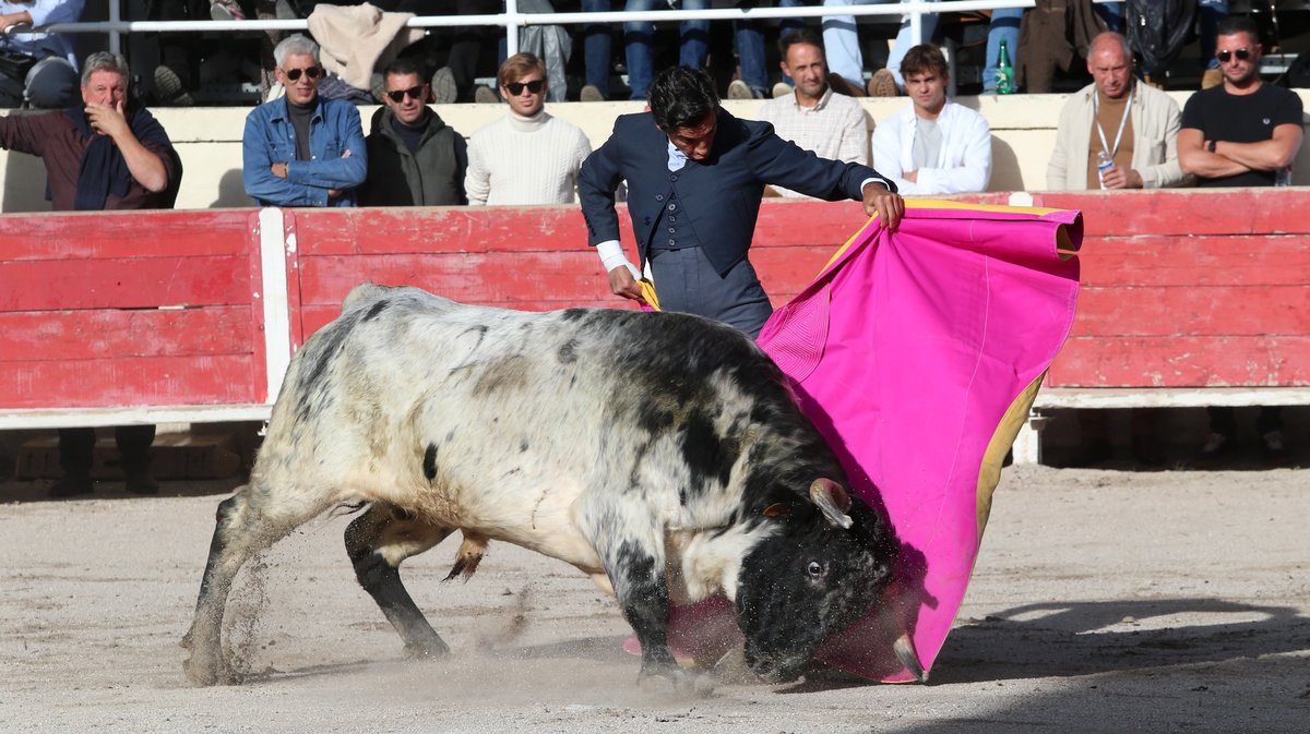 Fourques Festival hommage à Patrick Laugier de Las Dos Hermanas pour Manolo Sanchez, Javier Conde, Curro Diaz, Lalo de Maria, Victor et Joachim Cadenas (Photo Anthony Maurin)