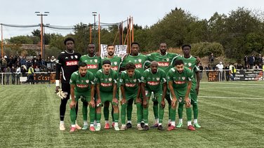 Nîmes Olympique, coupe de France