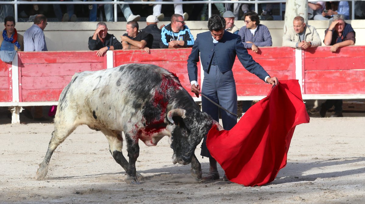 Fourques Festival hommage à Patrick Laugier de Las Dos Hermanas pour Manolo Sanchez, Javier Conde, Curro Diaz, Lalo de Maria, Victor et Joachim Cadenas (Photo Anthony Maurin)