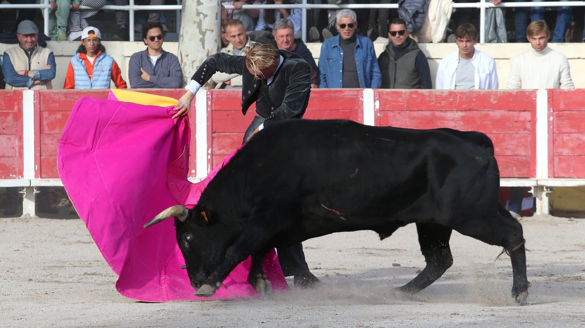 Fourques Festival hommage à Patrick Laugier de Las Dos Hermanas pour Manolo Sanchez, Javier Conde, Curro Diaz, Lalo de Maria, Victor et Joachim Cadenas (Photo Anthony Maurin)