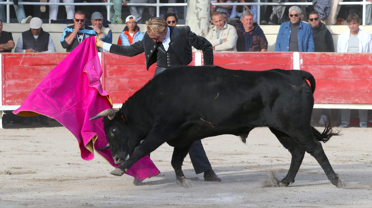 Fourques Festival hommage à Patrick Laugier de Las Dos Hermanas pour Manolo Sanchez, Javier Conde, Curro Diaz, Lalo de Maria, Victor et Joachim Cadenas (Photo Anthony Maurin)