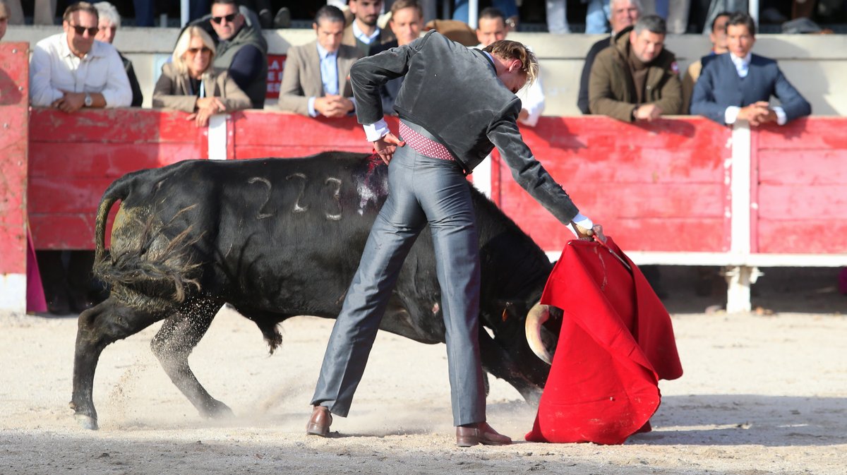 Fourques Festival hommage à Patrick Laugier de Las Dos Hermanas pour Manolo Sanchez, Javier Conde, Curro Diaz, Lalo de Maria, Victor et Joachim Cadenas (Photo Anthony Maurin)