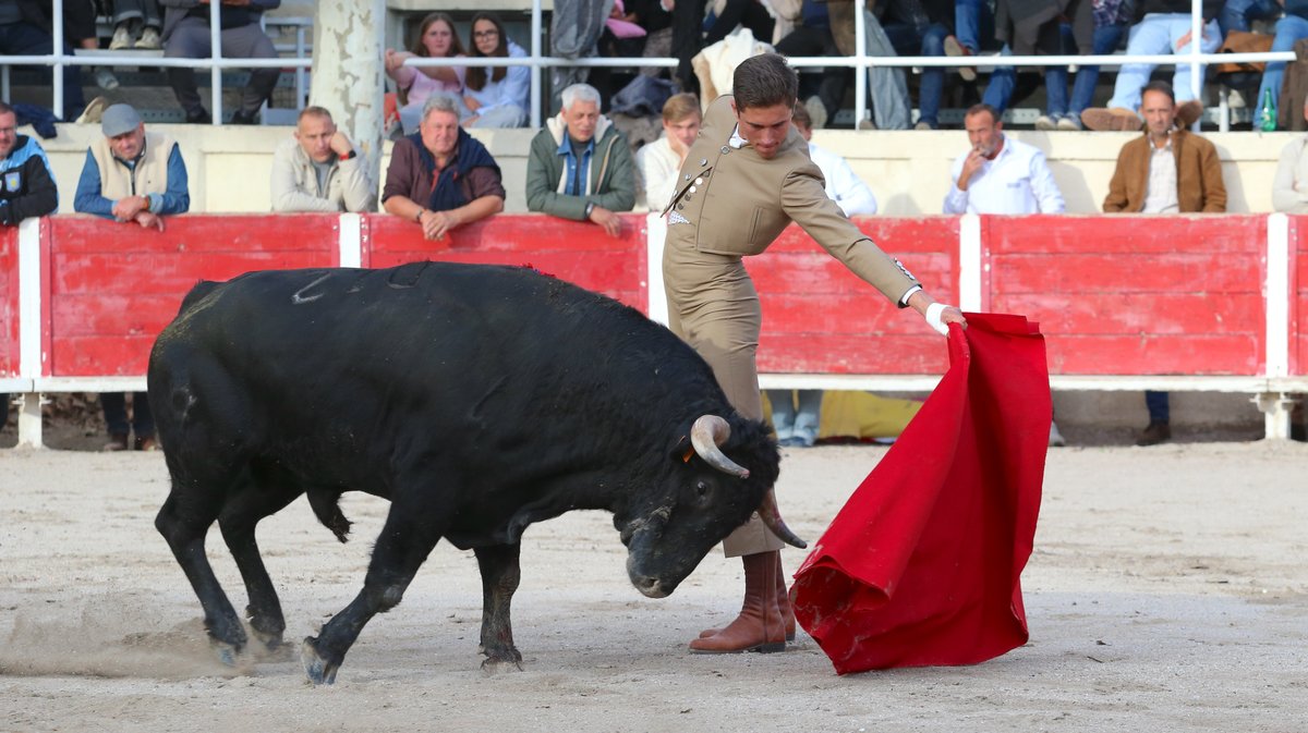 Fourques Festival hommage à Patrick Laugier de Las Dos Hermanas pour Manolo Sanchez, Javier Conde, Curro Diaz, Lalo de Maria, Victor et Joachim Cadenas (Photo Anthony Maurin)