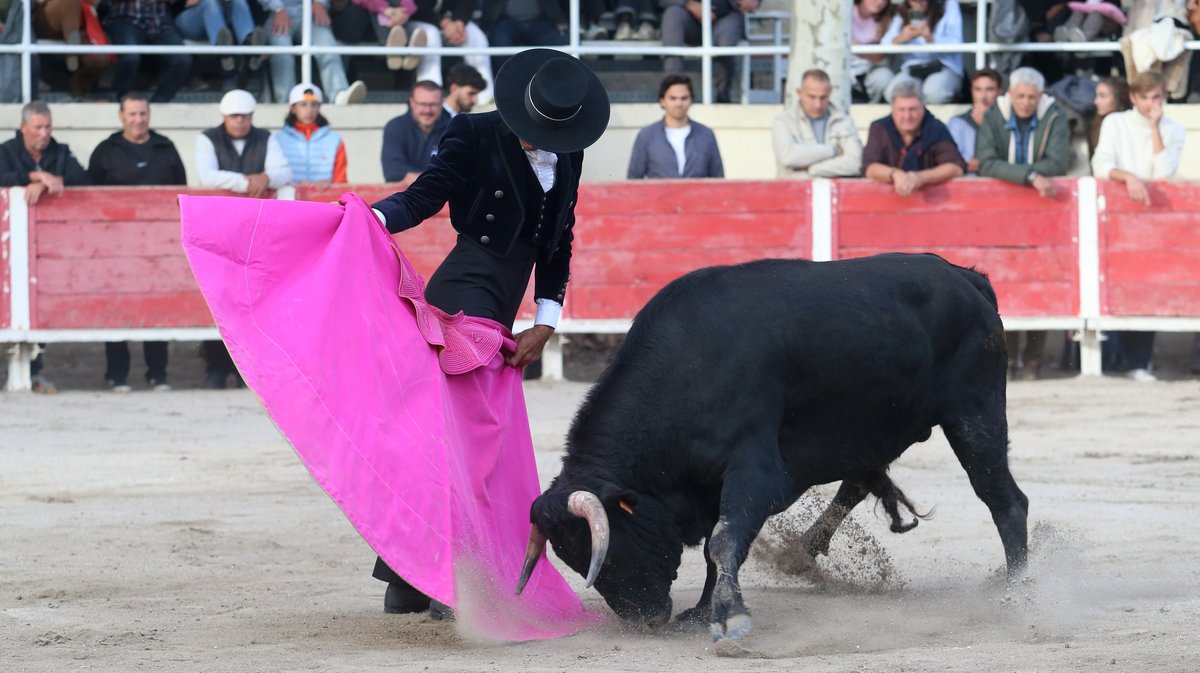 Fourques Festival hommage à Patrick Laugier de Las Dos Hermanas pour Manolo Sanchez, Javier Conde, Curro Diaz, Lalo de Maria, Victor et Joachim Cadenas (Photo Anthony Maurin)