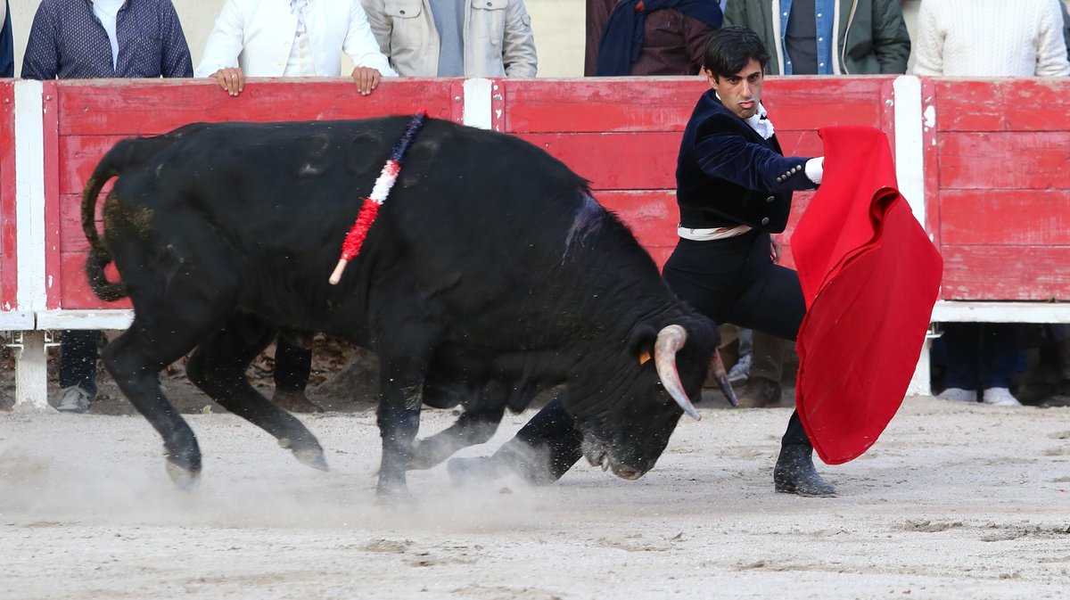 Fourques Festival hommage à Patrick Laugier de Las Dos Hermanas pour Manolo Sanchez, Javier Conde, Curro Diaz, Lalo de Maria, Victor et Joachim Cadenas (Photo Anthony Maurin)