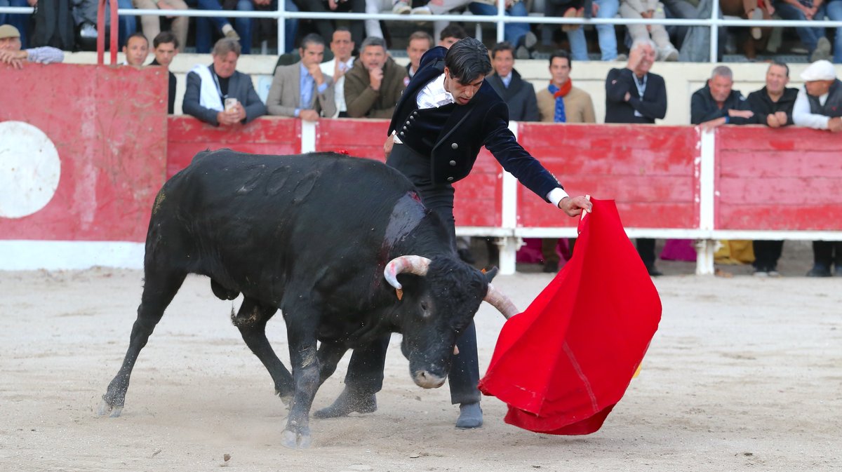 Fourques Festival hommage à Patrick Laugier de Las Dos Hermanas pour Manolo Sanchez, Javier Conde, Curro Diaz, Lalo de Maria, Victor et Joachim Cadenas (Photo Anthony Maurin)