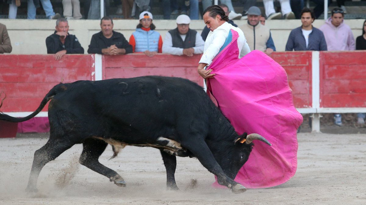 Fourques Festival hommage à Patrick Laugier de Las Dos Hermanas pour Manolo Sanchez, Javier Conde, Curro Diaz, Lalo de Maria, Victor et Joachim Cadenas (Photo Anthony Maurin)