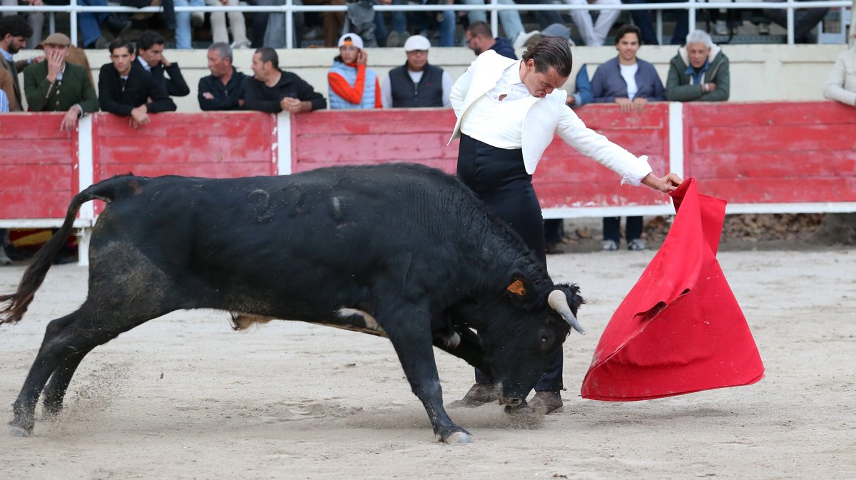 Fourques Festival hommage à Patrick Laugier de Las Dos Hermanas pour Manolo Sanchez, Javier Conde, Curro Diaz, Lalo de Maria, Victor et Joachim Cadenas (Photo Anthony Maurin)