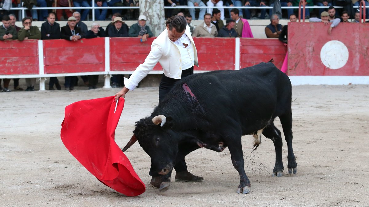 Fourques Festival hommage à Patrick Laugier de Las Dos Hermanas pour Manolo Sanchez, Javier Conde, Curro Diaz, Lalo de Maria, Victor et Joachim Cadenas (Photo Anthony Maurin)