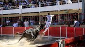 arènes course camarguaise Saint-Gilles (Photo Claude Jourdan et Ville de Saint-Gilles)
