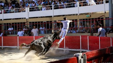 arènes course camarguaise Saint-Gilles (Photo Claude Jourdan et Ville de Saint-Gilles)